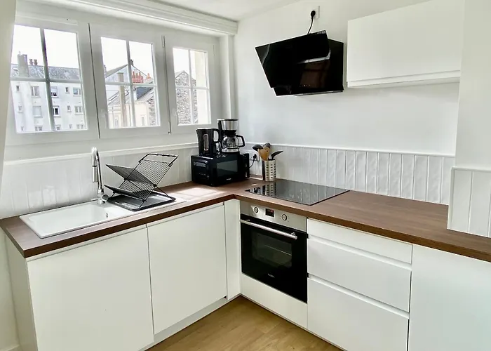 Luxury Modern Renovated And Cozy 2 Bedroom Garage-madeleine Apartament